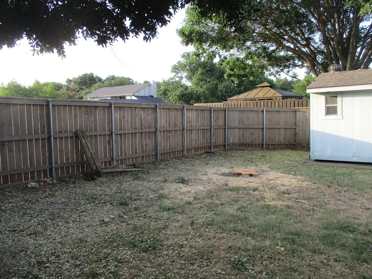 Cleared yard after professional tree removal in Sykeston